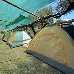 مكان تخييم Camping Olive Trees