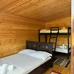 Camping Olive Trees مكان تخييم كيبارو