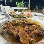 Camping Olive Trees مكان تخييم *