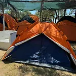 Camping Olive Trees مكان تخييم
