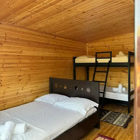 Camping Olive Trees Kemp Qëparo