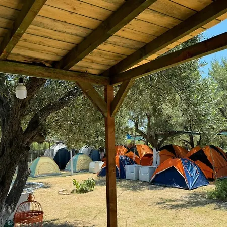 Camping Olive Trees Qeparo