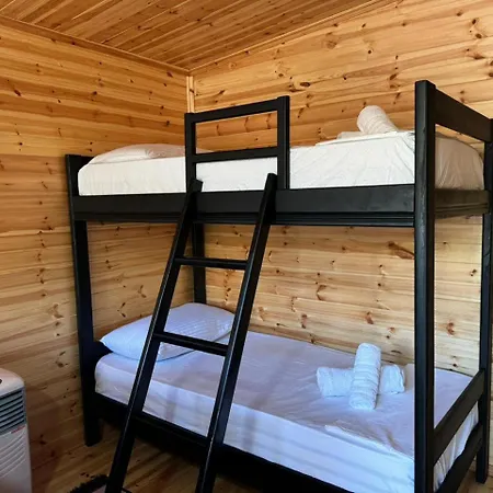 Camping Olive Trees *