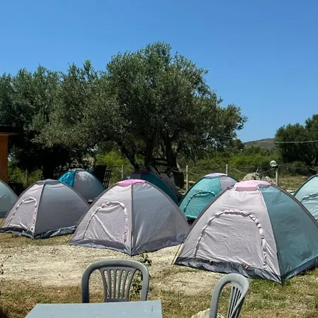 Camping Olive Trees * Qëparo