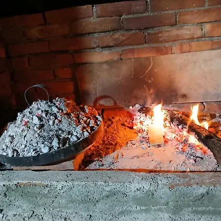 Campingplads Camping Olive Trees *