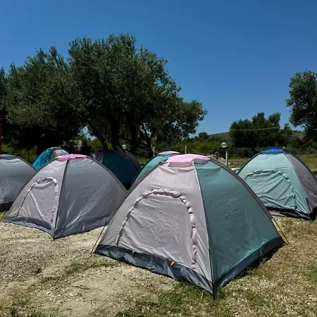 Camping Olive Trees *