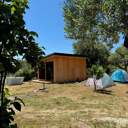 Camping Olive Trees Kemp