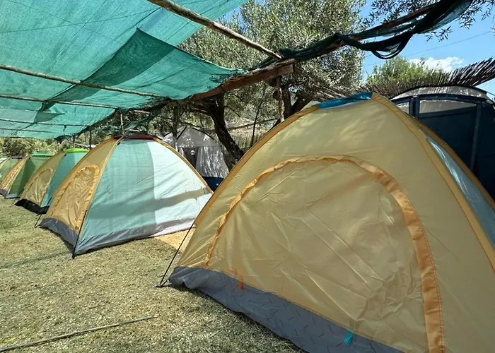 Campingplads Camping Olive Trees