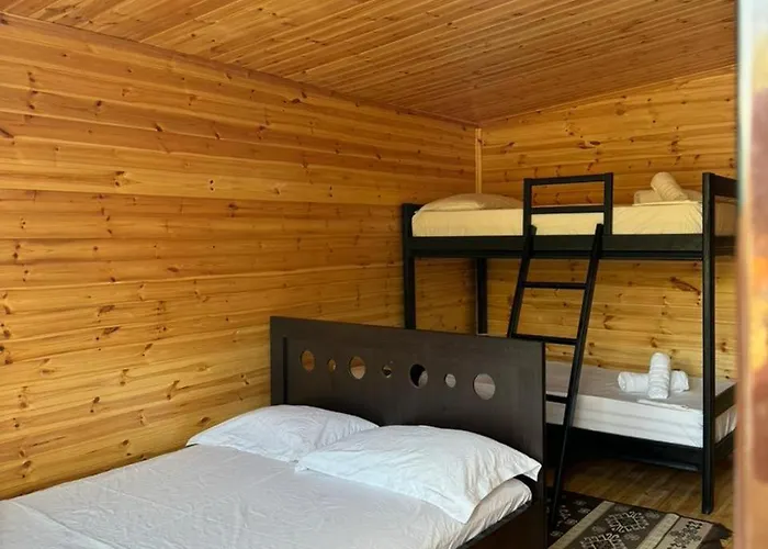 Camping Olive Trees Campingplads Qeparo