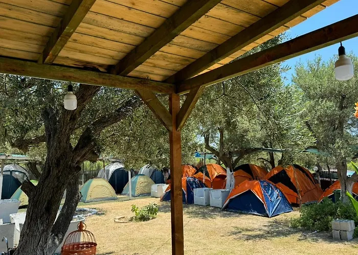Camping Olive Trees Qeparo