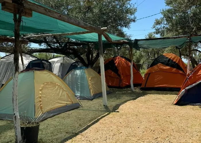 Camping Olive Trees Campingplads *