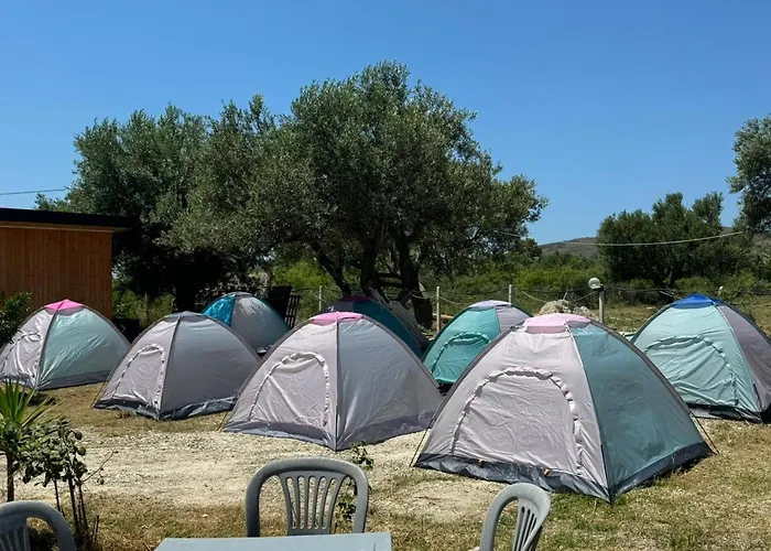 Camping Olive Trees * Qeparo