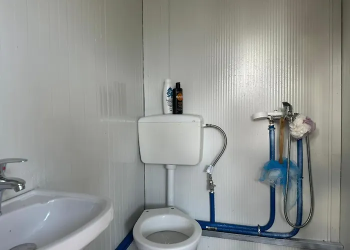 Camping Olive Trees Campingplads Qeparo