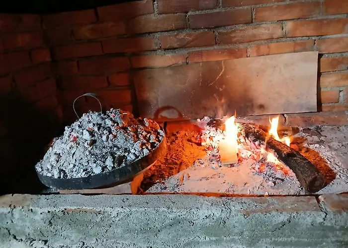 Campingplads Camping Olive Trees *