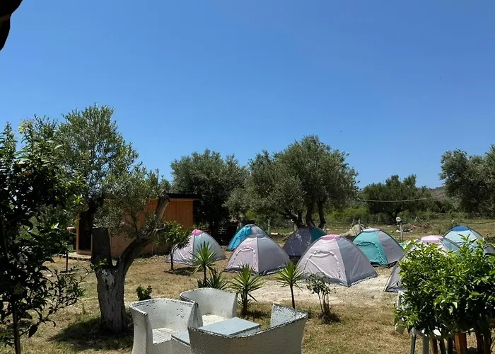 Camping Olive Trees