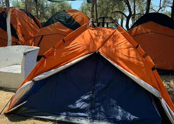 Camping Olive Trees Campingplads