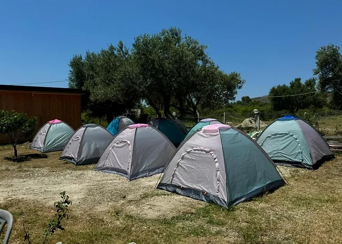 Camping Olive Trees * Qeparo