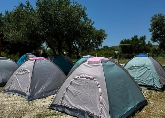Camping Olive Trees *