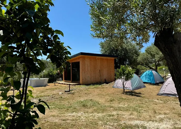 Camping Olive Trees Campingplads