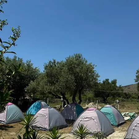 Camping Olive Trees *
