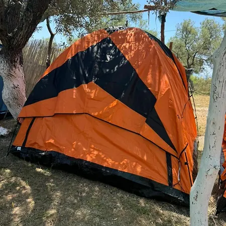 Camping Olive Trees Campsite Qeparo