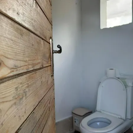 Camping Olive Trees *