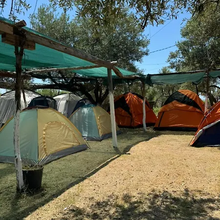 Camping Olive Trees Campsite *
