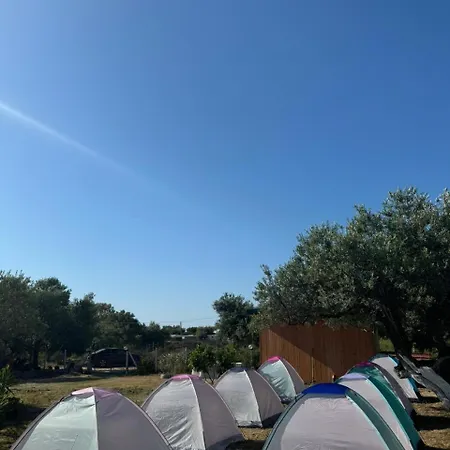 Camping Olive Trees * Qeparo