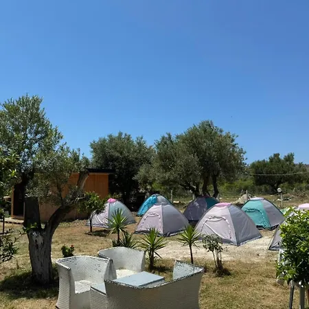 Camping Olive Trees