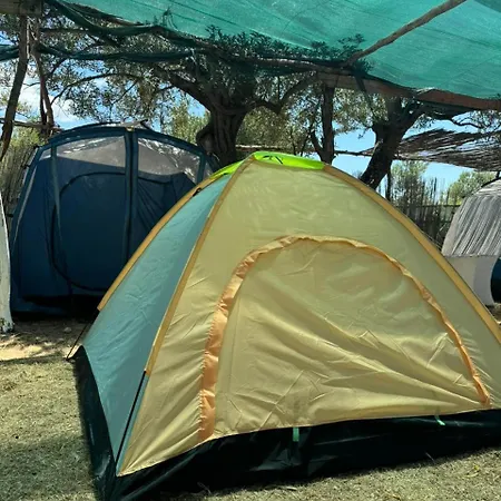 Camping Olive Trees Campsite *
