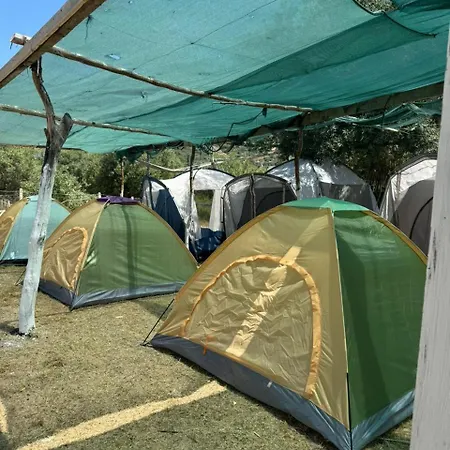 Campsite Camping Olive Trees *