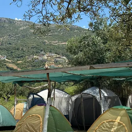 Campsite Camping Olive Trees Qeparo