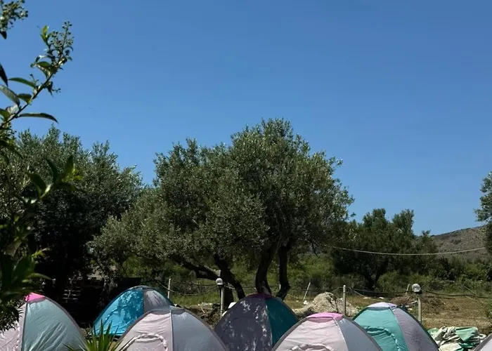 Camping Olive Trees *