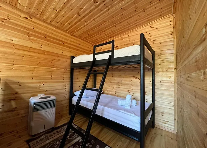 Camping Olive Trees Kemping