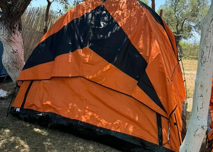 Camping Olive Trees Kemping Qeparo