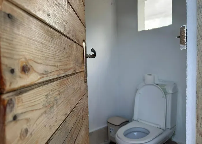 Camping Olive Trees *