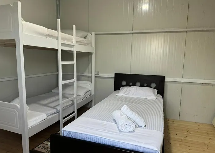 Camping Olive Trees *