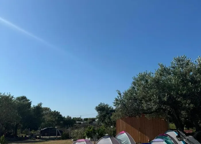 Camping Olive Trees * Qeparo