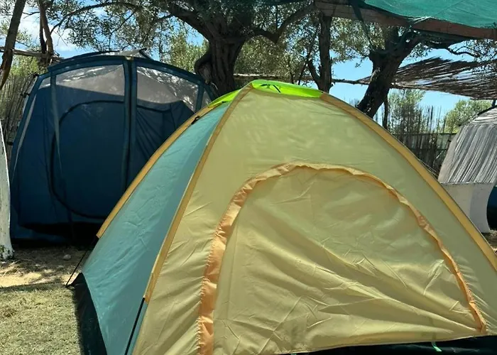 Camping Olive Trees Kemping *