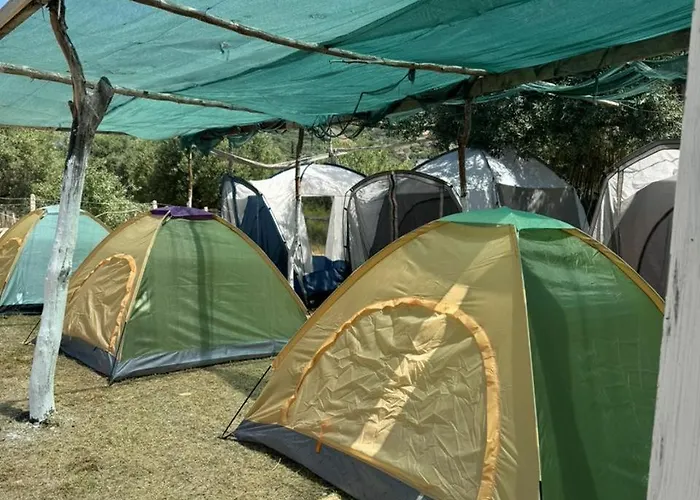 Kemping Camping Olive Trees *