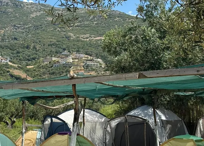 Kemping Camping Olive Trees Qeparo